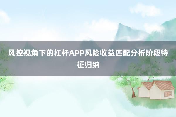 风控视角下的杠杆APP风险收益匹配分析阶段特征归纳