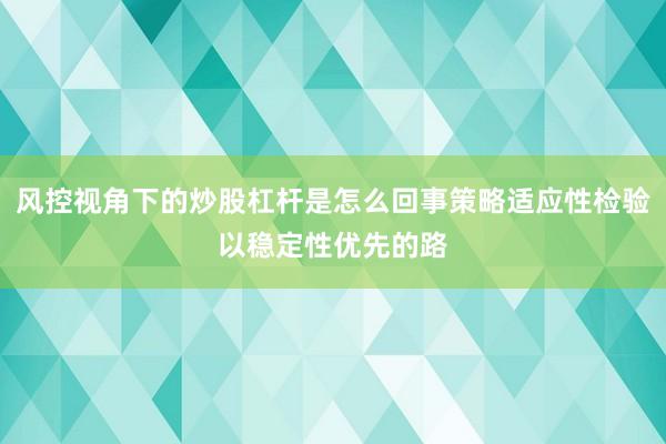 风控视角下的炒股杠杆是怎么回事策略适应性检验以稳定性优先的路