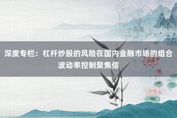 深度专栏：杠杆炒股的风险在国内金融市场的组合波动率控制聚焦信