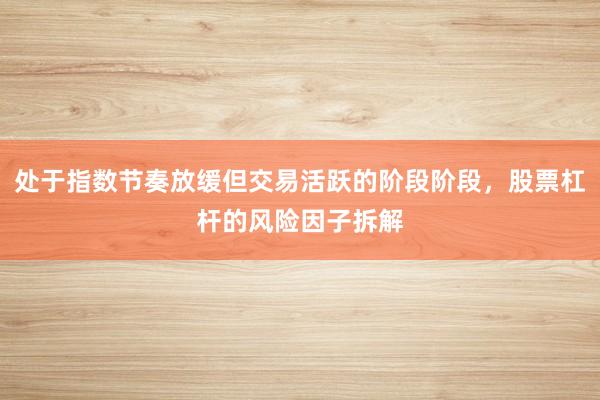 处于指数节奏放缓但交易活跃的阶段阶段，股票杠杆的风险因子拆解