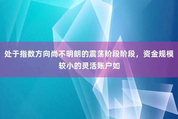 处于指数方向尚不明朗的震荡阶段阶段，资金规模较小的灵活账户如
