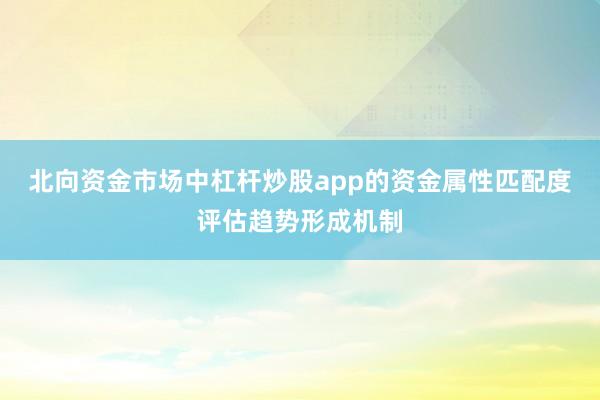 北向资金市场中杠杆炒股app的资金属性匹配度评估趋势形成机制