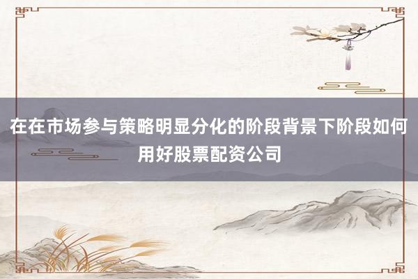 在在市场参与策略明显分化的阶段背景下阶段如何用好股票配资公司