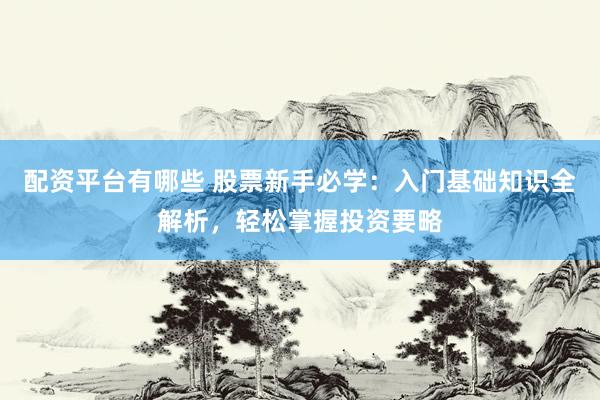 配资平台有哪些 股票新手必学：入门基础知识全解析，轻松掌握投资要略