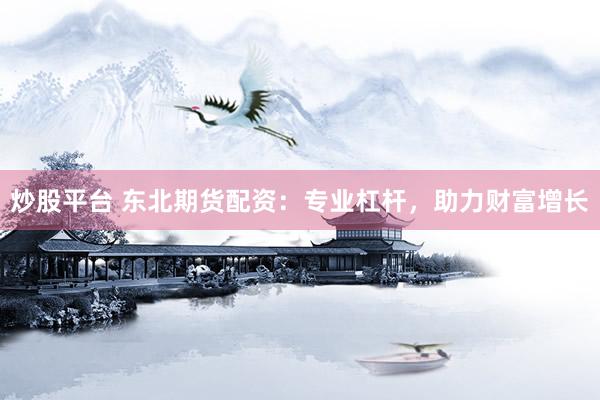 炒股平台 东北期货配资：专业杠杆，助力财富增长