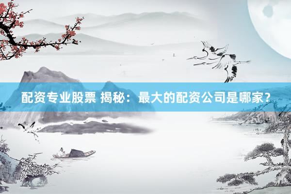 配资专业股票 揭秘：最大的配资公司是哪家？