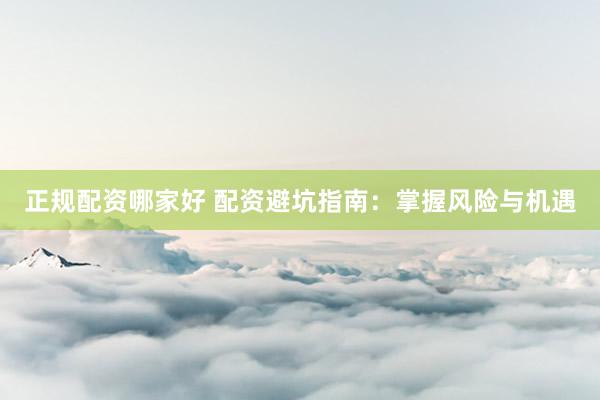 正规配资哪家好 配资避坑指南：掌握风险与机遇